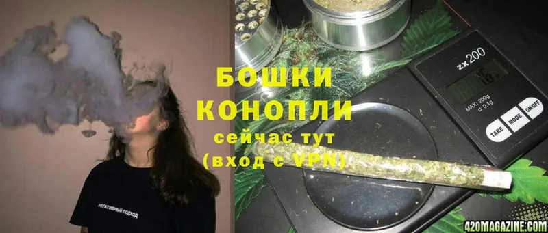 Канабис SATIVA & INDICA  shop официальный сайт  Гаджиево  купить наркотик 